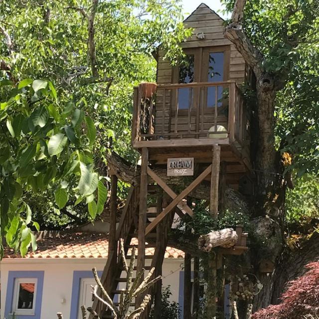 Casa Oliva - Casa Da Serra Porto de Mós エクステリア 写真